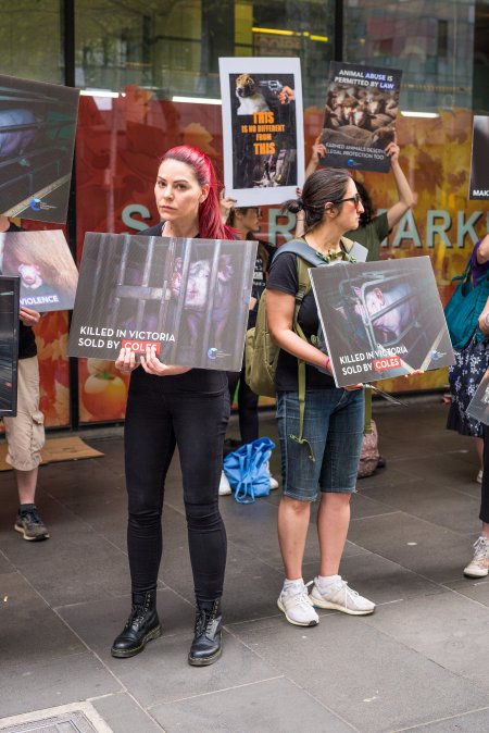 Activists protest the widespread use of cages for pigs