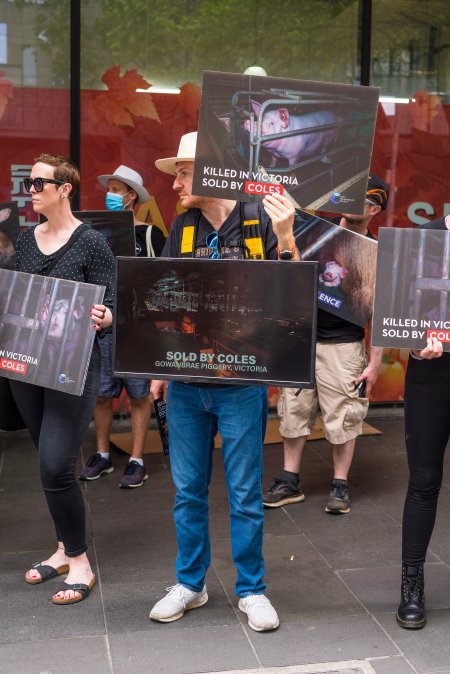 Activists protest the widespread use of cages for pigs