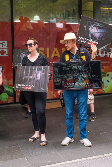 Activists protest the widespread use of cages for pigs