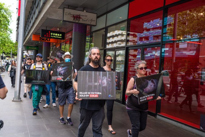 Activists protest the widespread use of cages for pigs