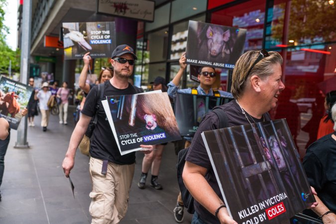 Activists protest the widespread use of cages for pigs