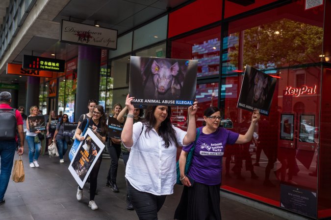 Activists protest the widespread use of cages for pigs