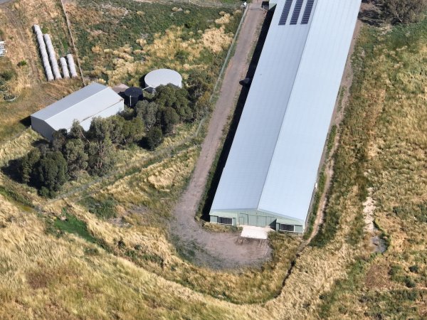 Drone flyover of free-range egg farm