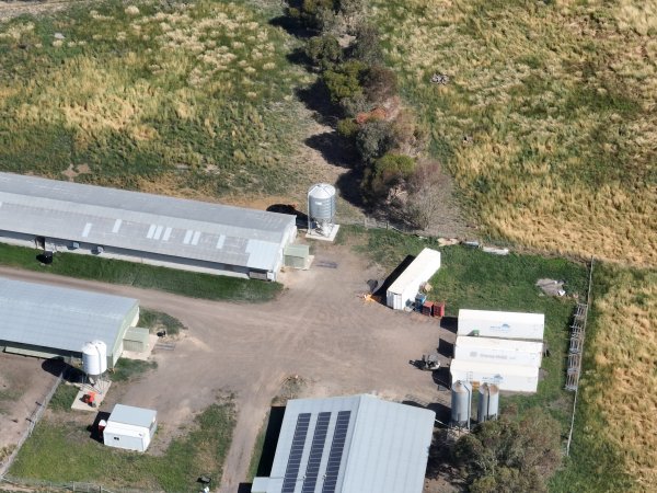 Drone flyover of free-range egg farm