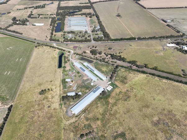 Drone flyover of free-range egg farm