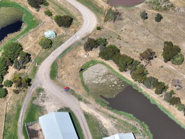 Drone flyover of free-range egg farm