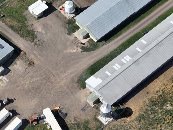 Drone flyover of free-range egg farm