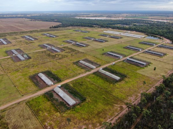 Inglewood Poultry Farm