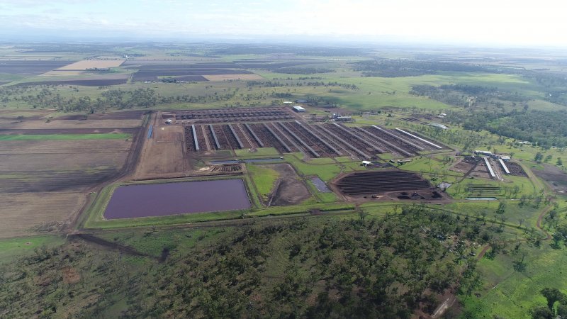 Drone flyover of cattle feedlot