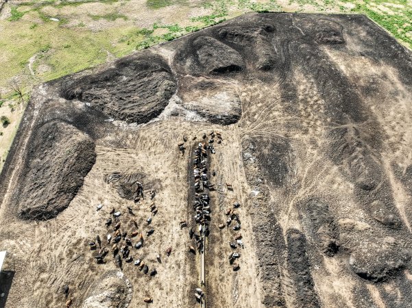 Marella Farms aerial view