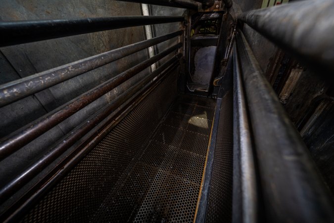 Inside the gas chamber gondola