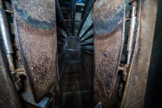 Looking into the gondola