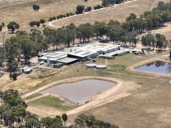 Drone flyover of slaughterhouse