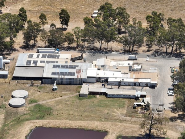 Drone flyover of slaughterhouse