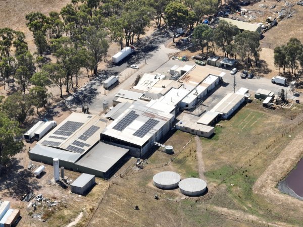 Drone flyover of slaughterhouse