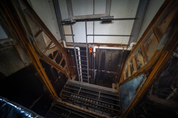 Gondolas in the gas chamber