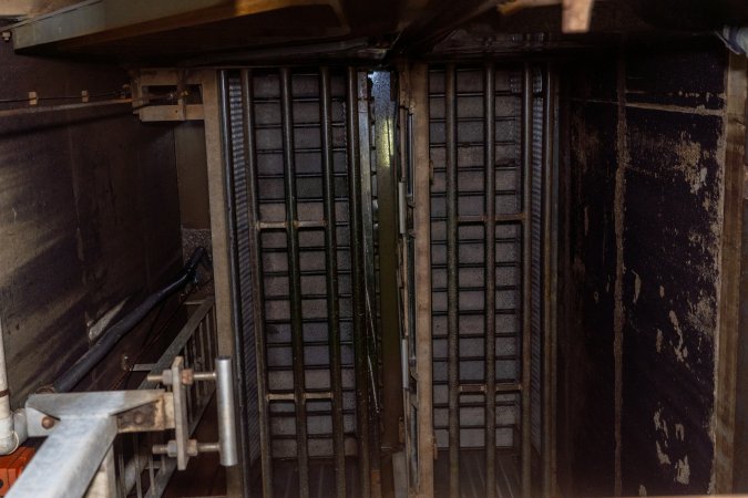 Gondolas in the gas chamber