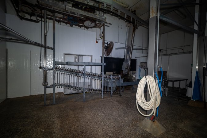 Shackle rack and kill floor