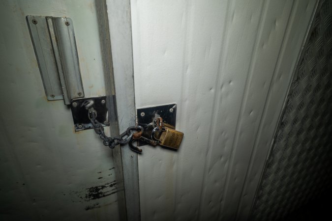 Padlock on kill room door