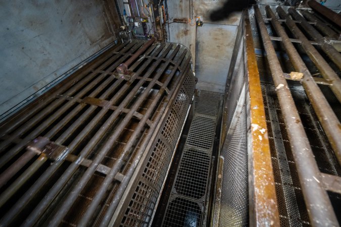 On top of the gondolas inside the gas chamber