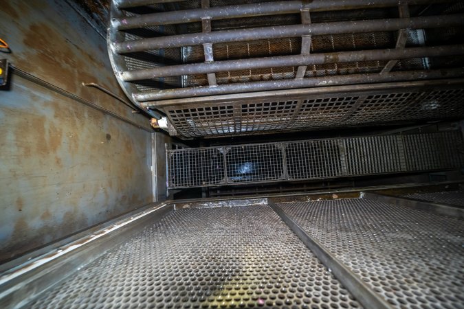 Looking down into the gas chamber