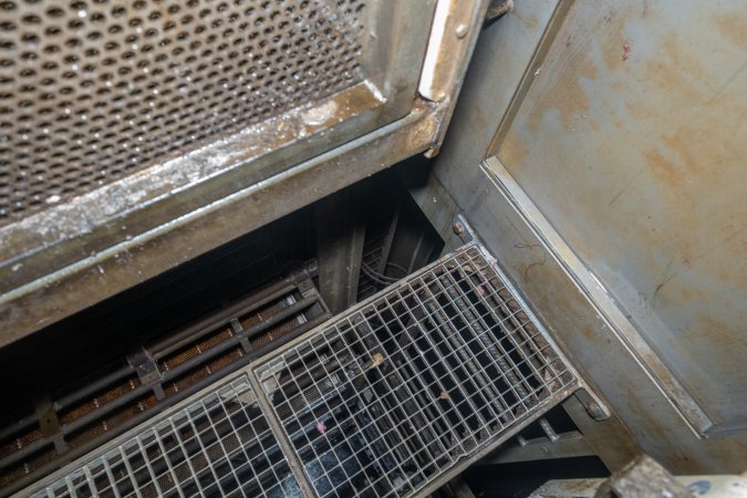 Walkway inside gas chamber