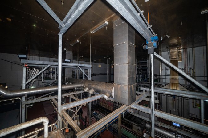 Pipes and beams above the kill room