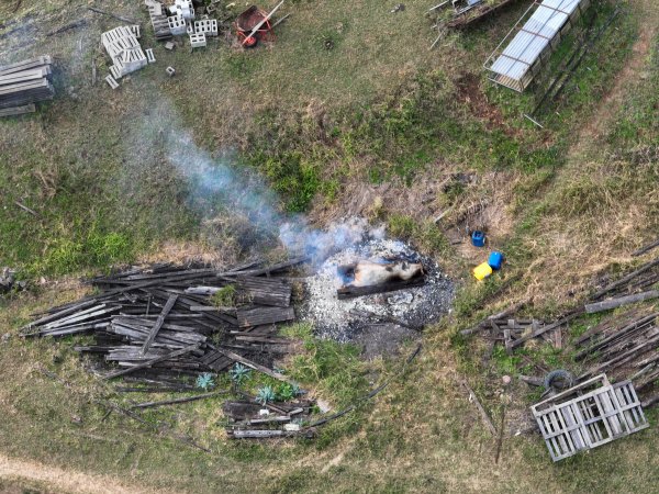 Burning Pig outside of pig farm