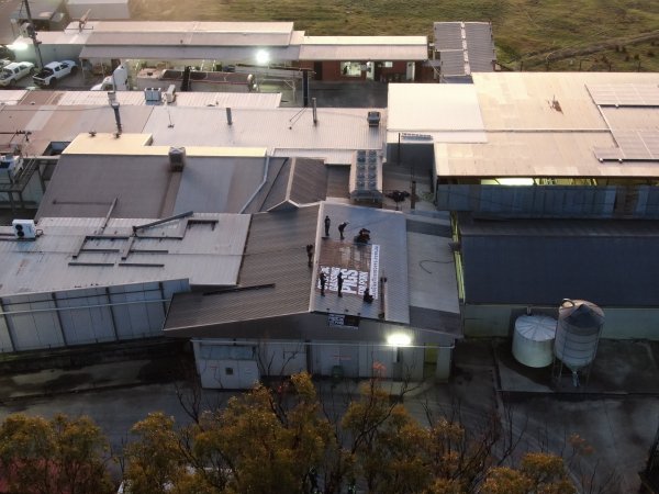 Aerial view of activists on roof of slaughterhouse