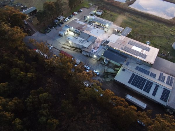 Aerial view of activists on roof of slaughterhouse