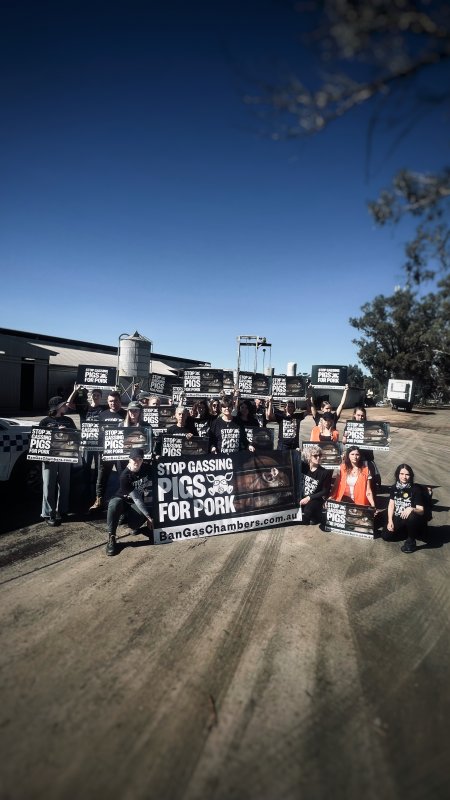 Activists rally outside Benalla slaughterhouse