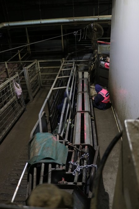 Activists chained in race