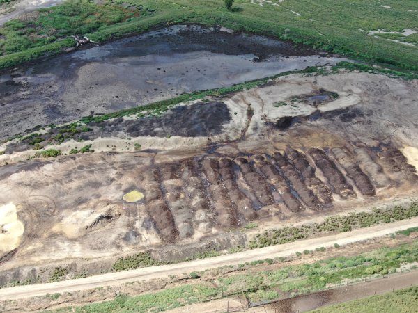 Brindley Park Feedlot