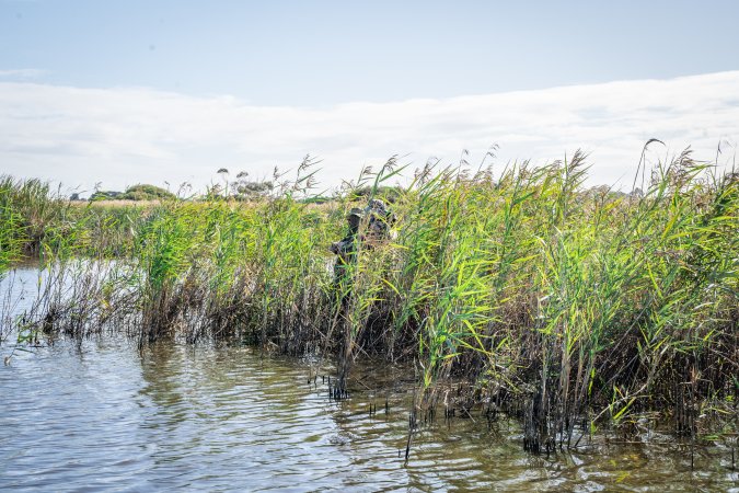 Duck Shooting 2023 - Lake Connewarre