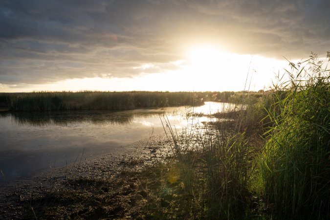 Duck Shooting 2023 - Lake Connewarre