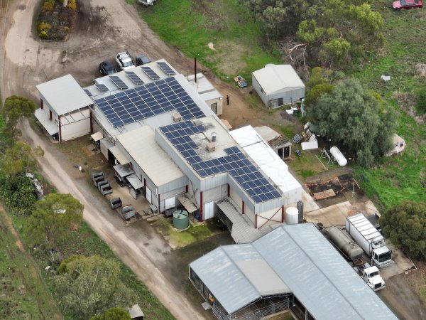 Drone flyover of slaughterhouse