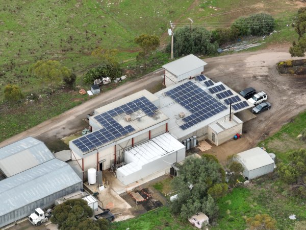 Drone flyover of slaughterhouse