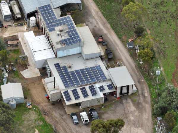 Drone flyover of slaughterhouse