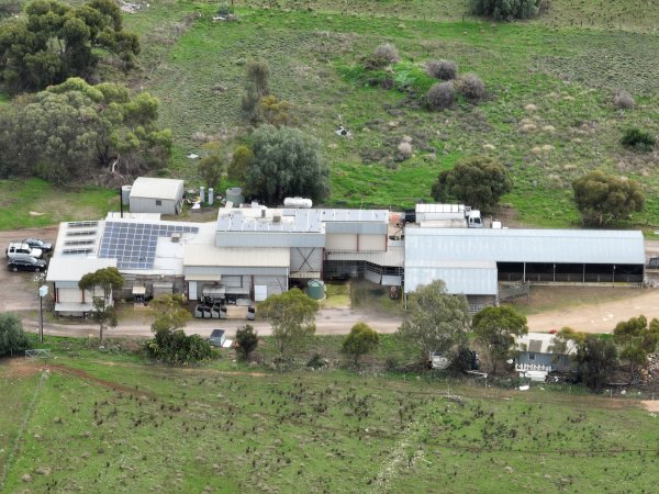 Drone flyover of slaughterhouse