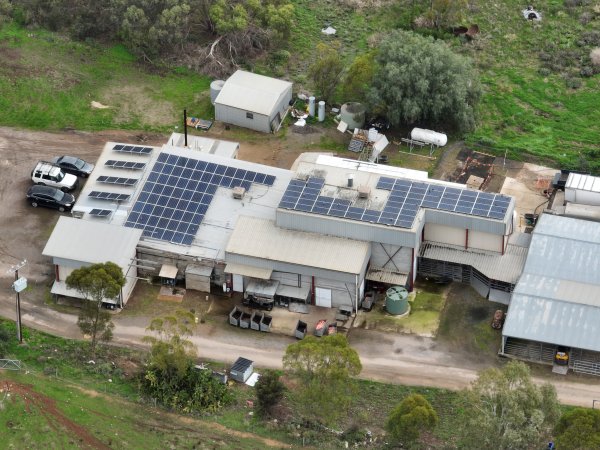 Drone flyover of slaughterhouse