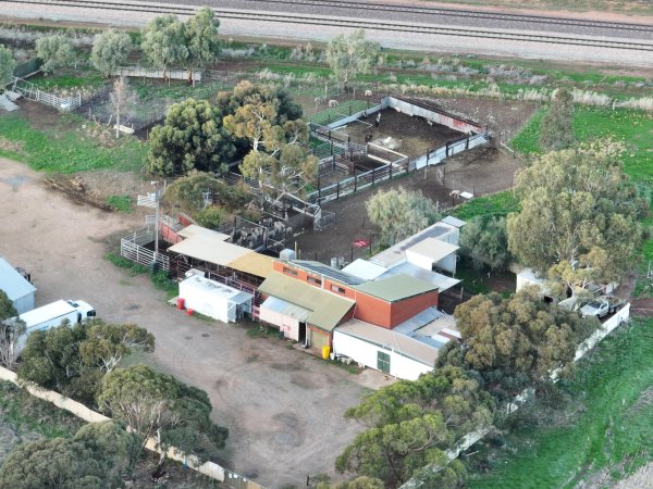 Drone flyover of slaughterhouse