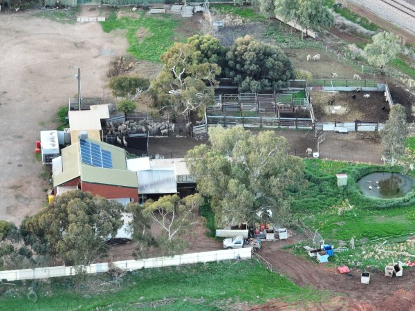 Drone flyover of slaughterhouse