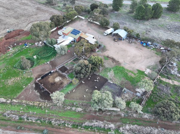 Drone flyover of slaughterhouse