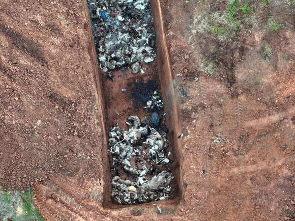 Drone flyover of slaughterhouse dead pit