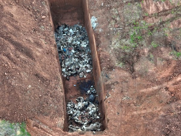 Drone flyover of slaughterhouse dead pit