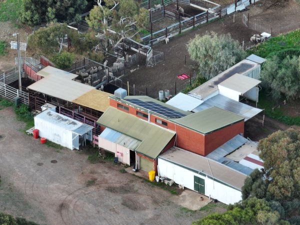 Drone flyover of slaughterhouse