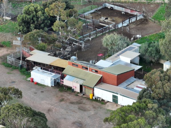 Drone flyover of slaughterhouse