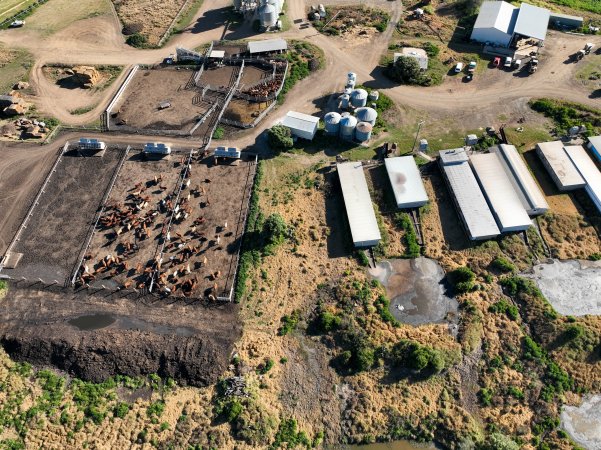 Aerial view of Barron Piggery and Feedlot