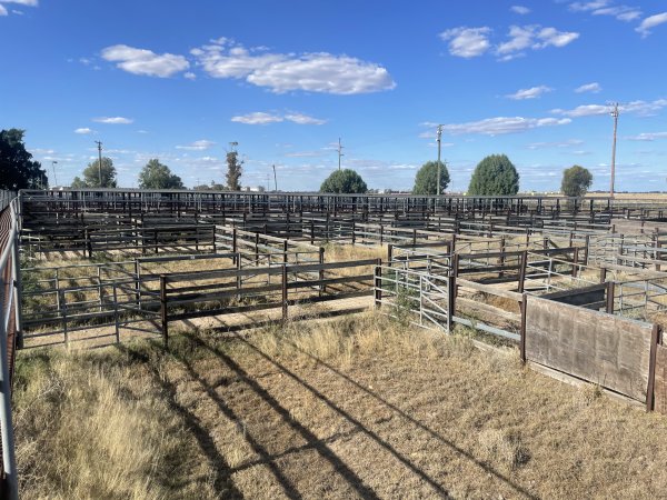 Decrepit conditions of abandoned Saleyard