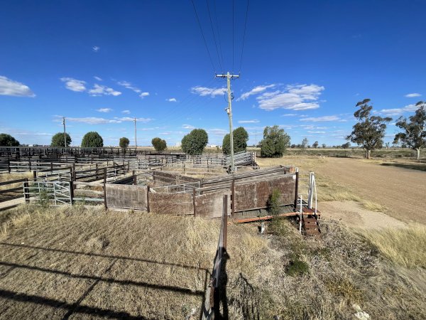 Decrepit conditions of abandoned Saleyard